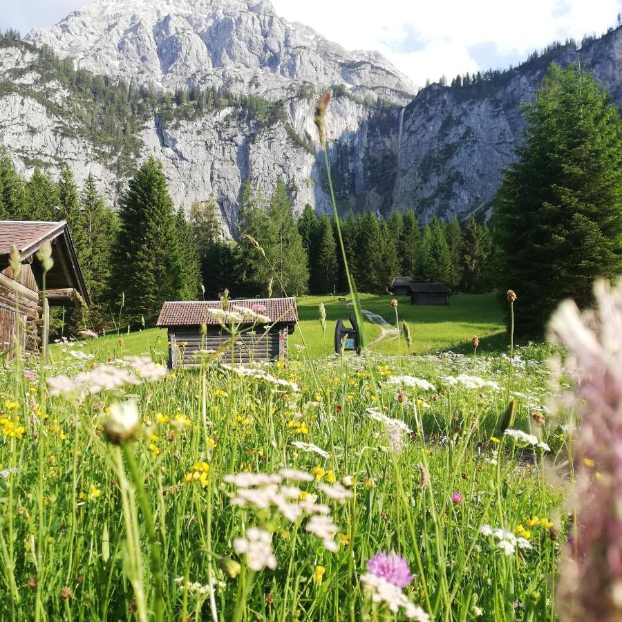 Gaestehaus Wilhelmshof Эрвальд Экстерьер фото